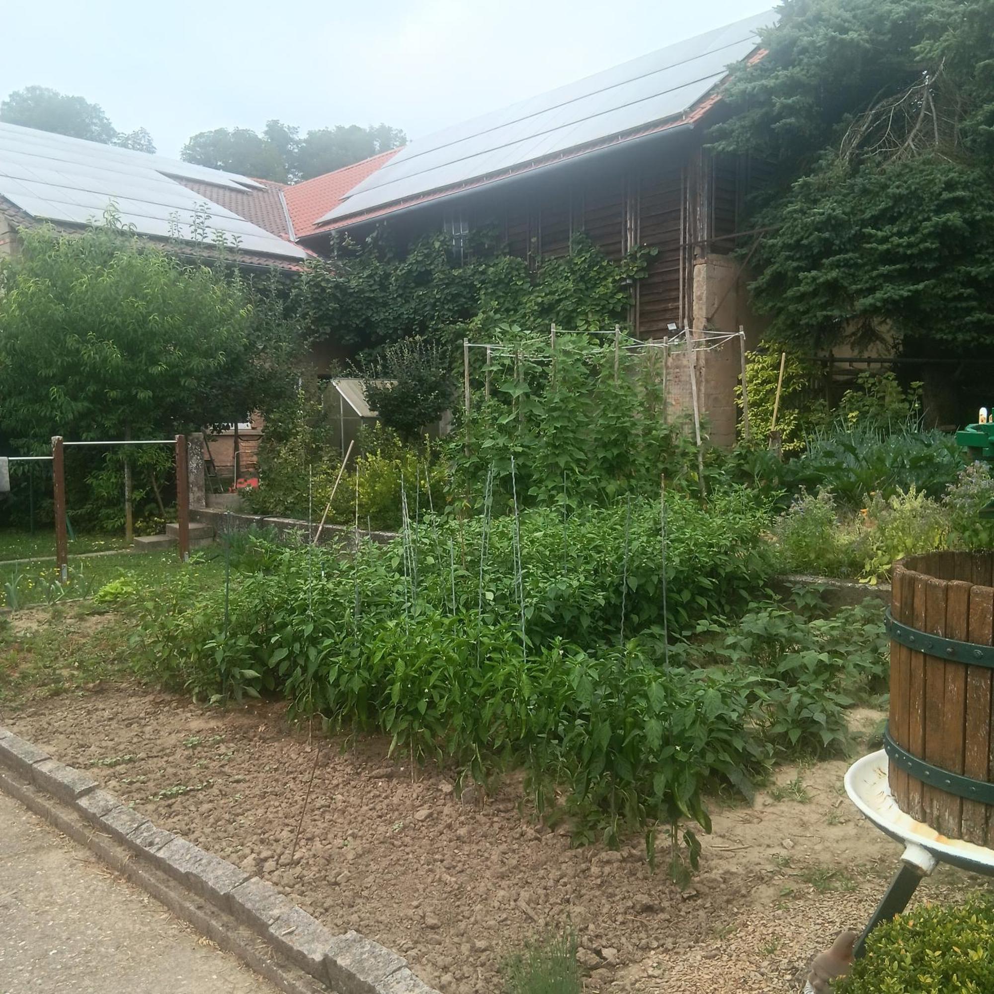 Weingut Juergen - Lutz Apartment Angelbachtal Exterior photo